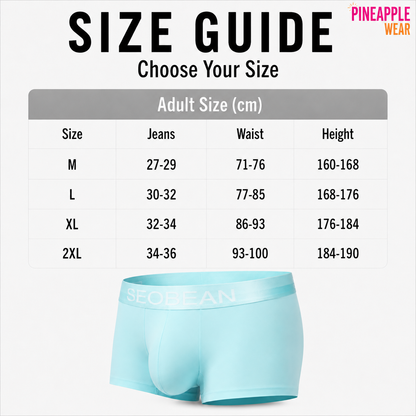 Ice Silk Boxer Shorts – 6 Colours | M–2XL | Nylon & Spandex