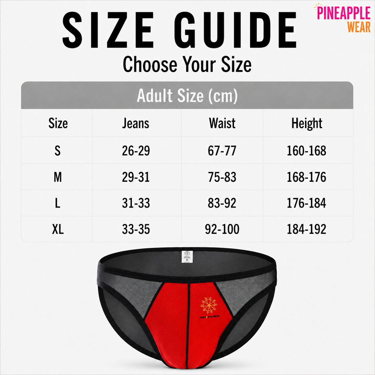 Sheer Brief – 4 Colours | S–XL | Polyester & Mesh