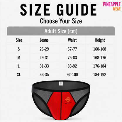 Sheer Brief – 4 Colours | S–XL | Polyester & Mesh
