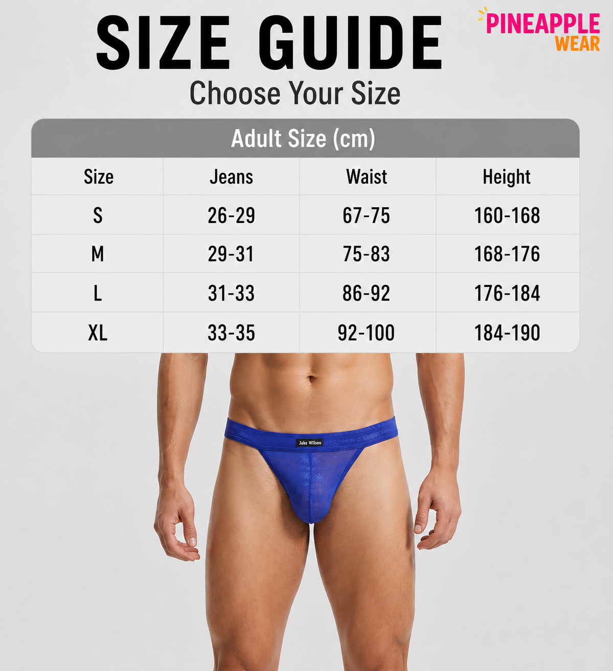 Sheer Mesh Thong – 4 Colours | S–XL | Nylon