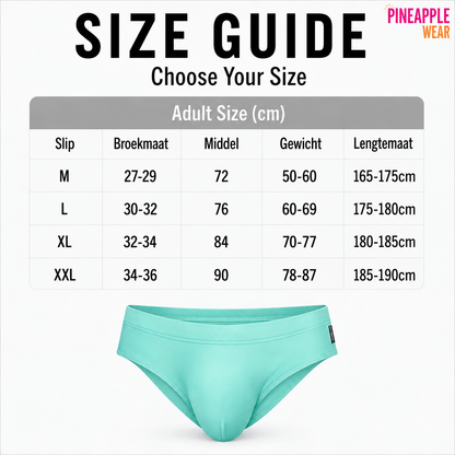 Gradient Swim Brief – 4 Colours | M–XXL | 84% Polyester & Spandex