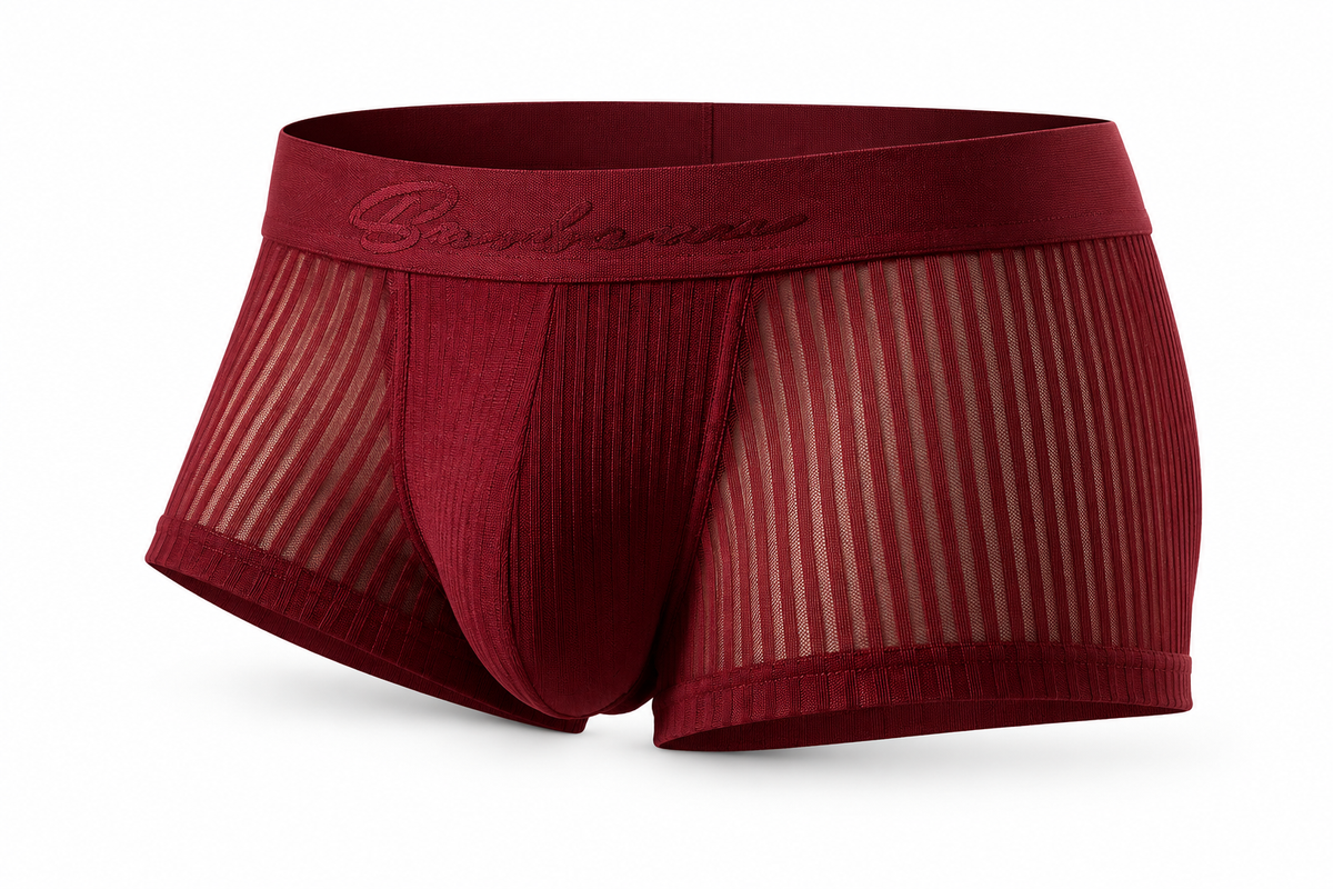 Striped Mesh Boxer Brief – 6 Colours | M–2XL | 95% Polyester & Spandex