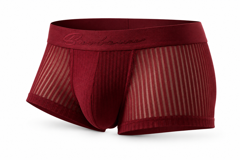 Striped Mesh Boxer Brief – 6 Colours | M–2XL | 95% Polyester & Spandex
