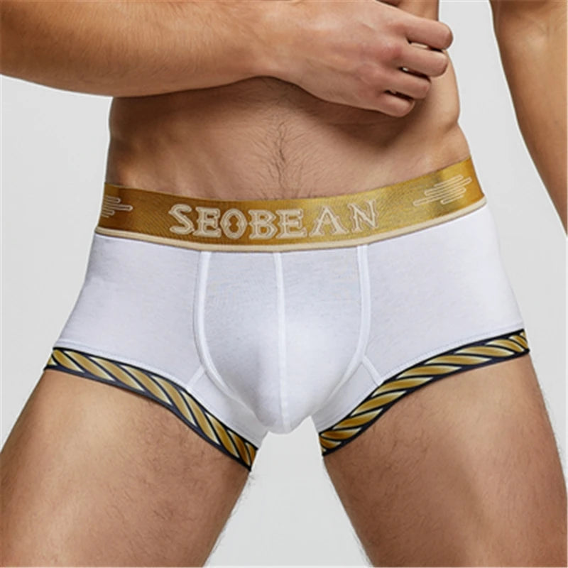 Cotton Sport Boxer Shorts – 5 Colours | M–2XL | Cotton & Elastane