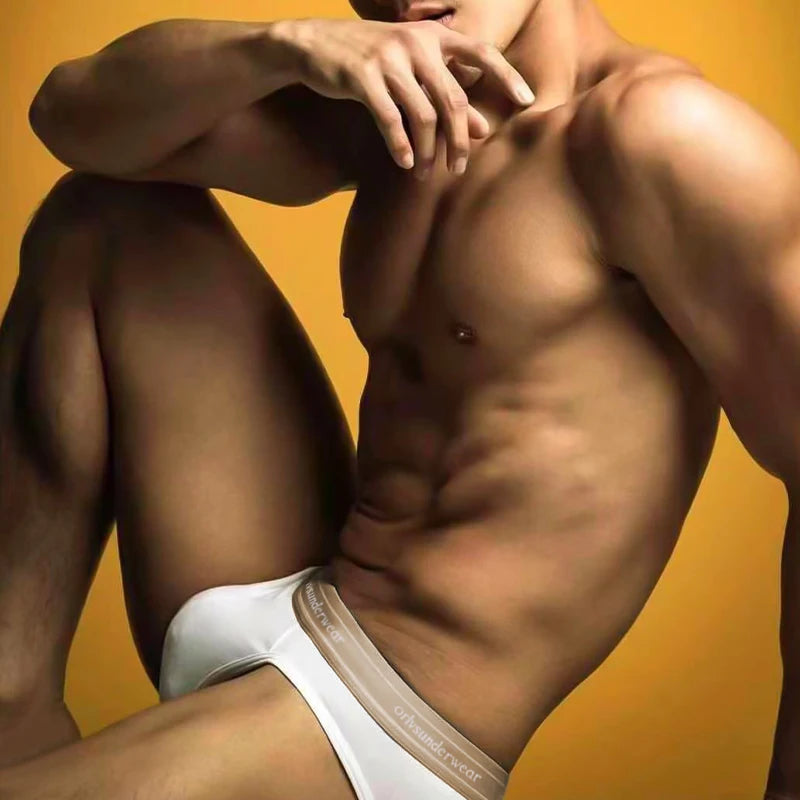 ORLVS Brief