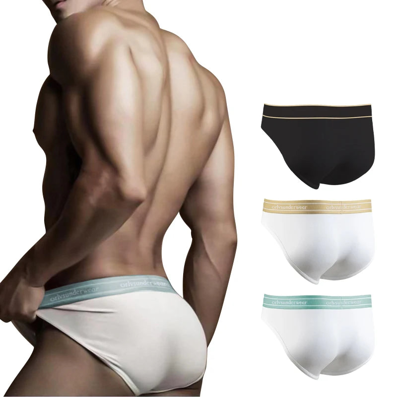 ORLVS Brief