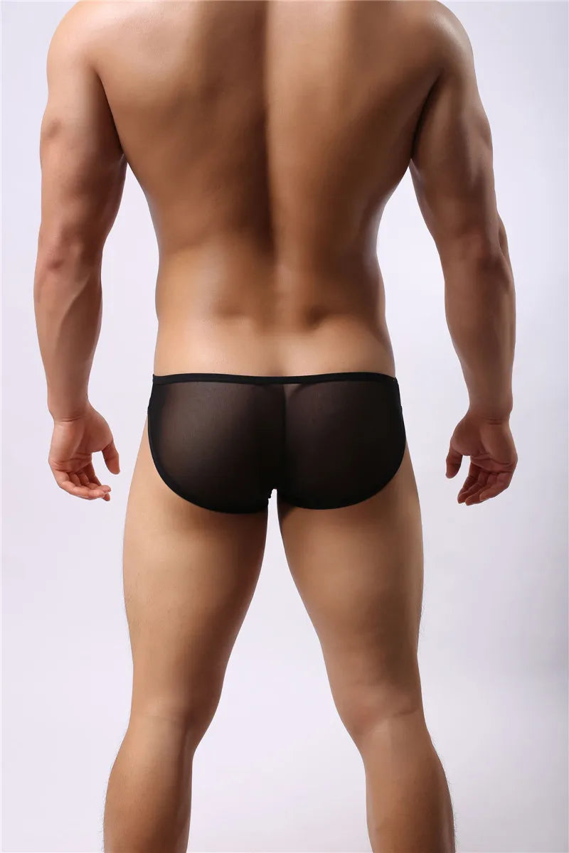 Sheer Brief – 4 Colours | S–XL