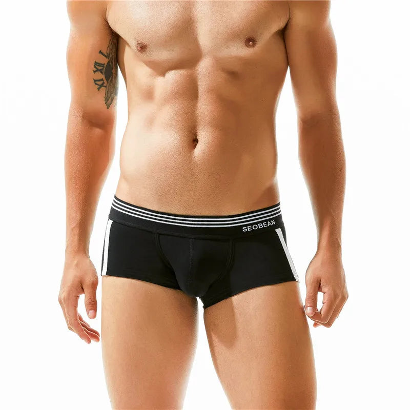 Cotton Boxer Briefs – 5 Colours | M–2XL | Cotton & Spandex