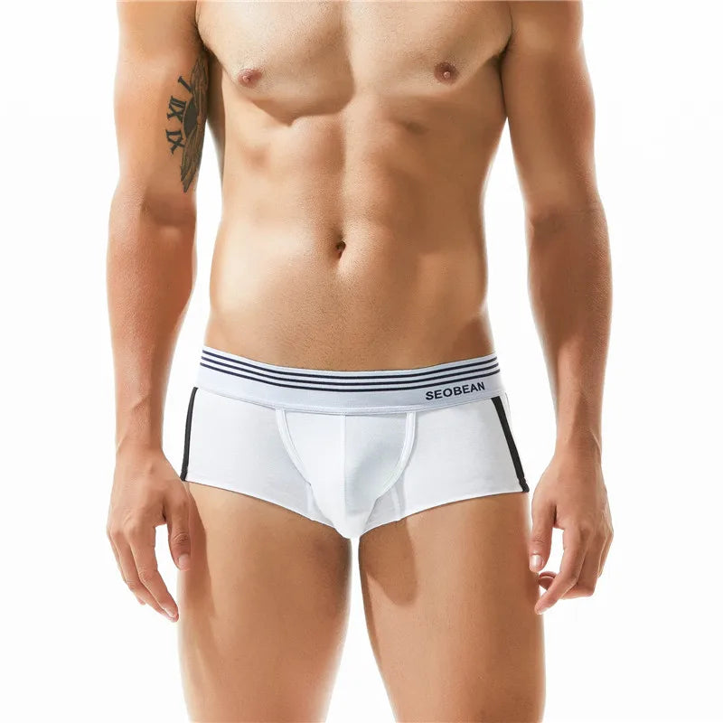 Cotton Boxer Briefs – 5 Colours | M–2XL | Cotton & Spandex