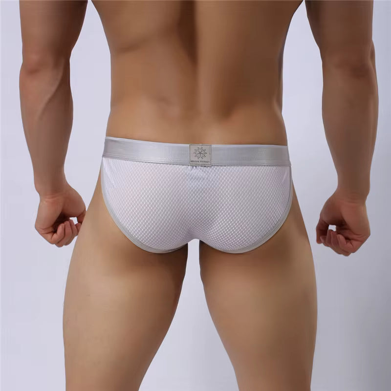 Colour Pop Brief – 6 Bold Colours | S–XL