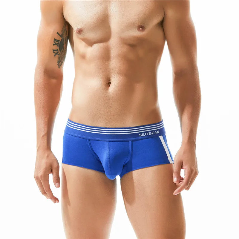 Cotton Boxer Briefs – 5 Colours | M–2XL | Cotton & Spandex