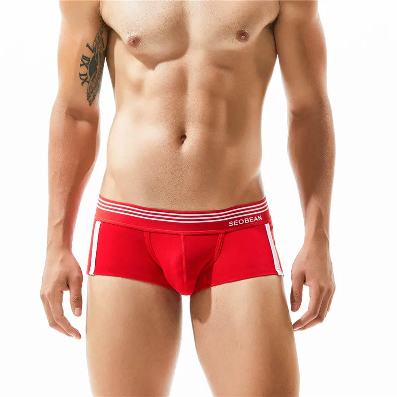 Cotton Boxer Briefs – 5 Colours | M–2XL | Cotton & Spandex