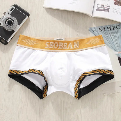 Cotton Sport Boxer Shorts – 5 Colours | M–2XL | Cotton & Elastane