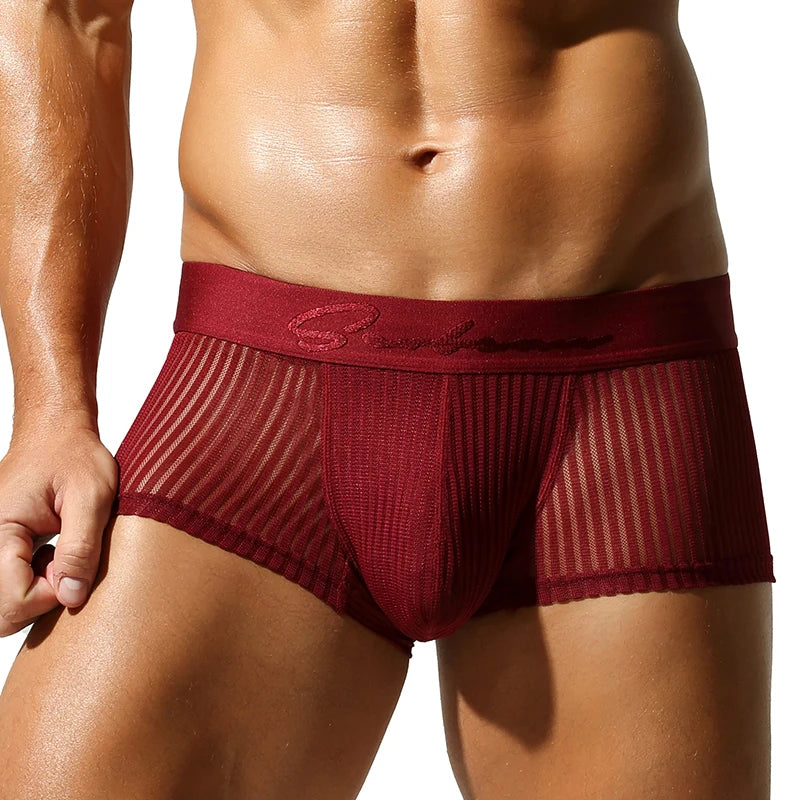 Striped Mesh Boxer Brief – 6 Colours | M–2XL | 95% Polyester & Spandex
