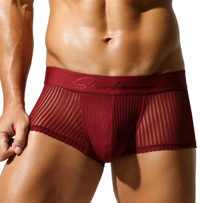 Striped Mesh Boxer Brief – 6 Colours | M–2XL | 95% Polyester & Spandex