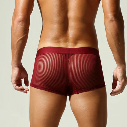 Striped Mesh Boxer Brief – 6 Colours | M–2XL | 95% Polyester & Spandex