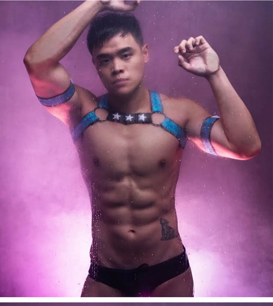 Pineapple-Wear Stretch Chest Harness | 2 Styles | 3 Sizes