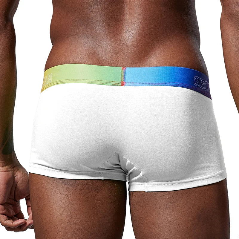 Seobean Rainbow Waistband Boxer Briefs – 4 Colours | M–2XL | Cotton & Elastane