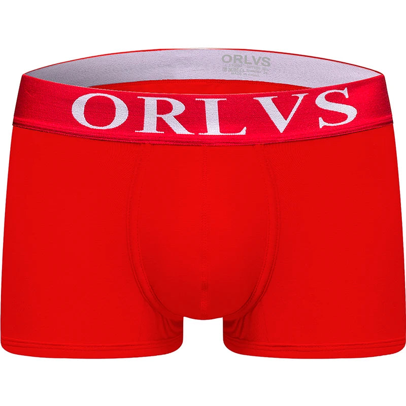 Cotton Boxer Briefs – 6 Colours | M–2XL | Cotton & Lycra
