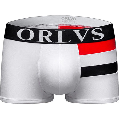 Slim Fit Boxer Shorts – 4 Colours | M–2XL | Cotton & Spandex