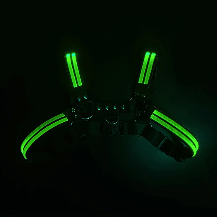LED Light-Up Body Harness – 6 Colours | One Size | Nylon