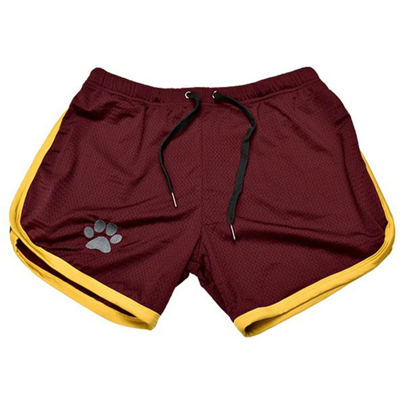 Breathable Mesh Shorts with Paw Print – 17 Colours | Sizes by Weight | M–XXL