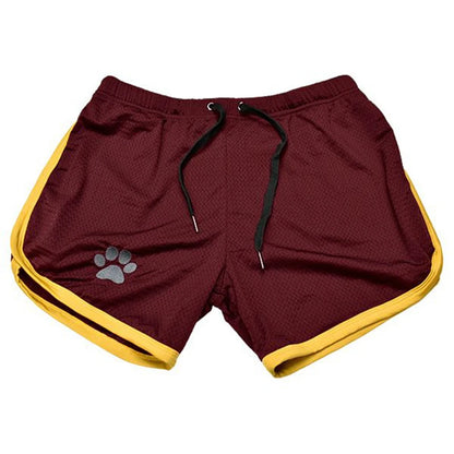 Breathable Mesh Shorts with Paw Print – 17 Colours | Sizes by Weight | M–XXL