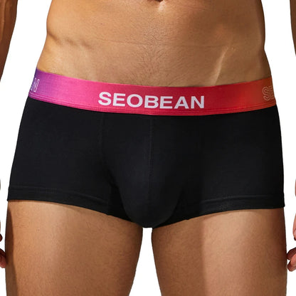 Cotton Boxer Briefs – 4 Colours | M–2XL | Gradient Waistband