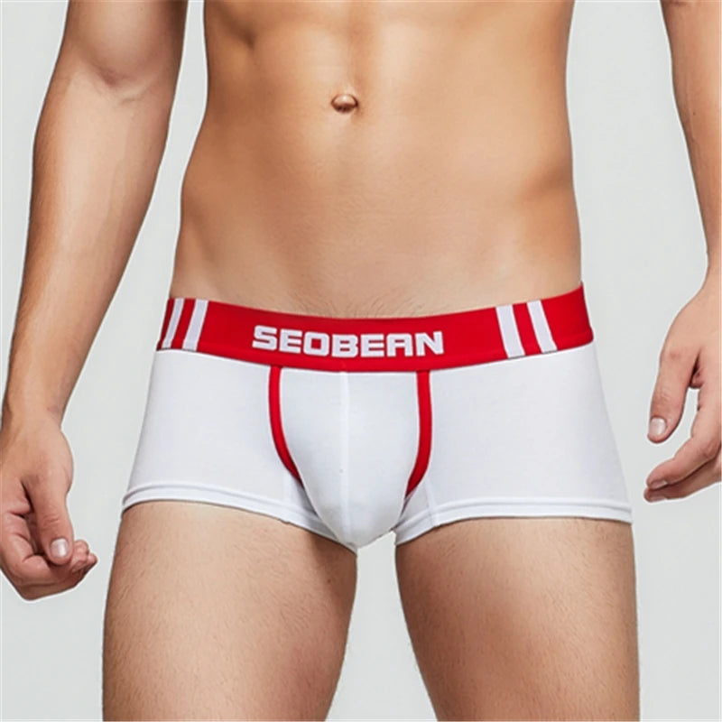 Cotton Boxer Short – 7 Colours | M–2XL | 92% Cotton & Spandex