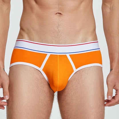 Low-Rise Bikini Brief – 6 Colours | M–2XL | Cotton & Spandex