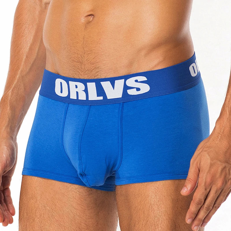 Cotton Boxer Briefs – 6 Colours | M–2XL | Cotton & Lycra