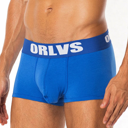 Cotton Boxer Briefs – 6 Colours | M–2XL | Cotton & Lycra