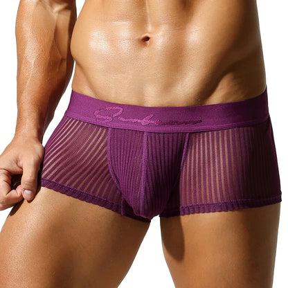 Striped Mesh Boxer Brief – 6 Colours | M–2XL | 95% Polyester & Spandex