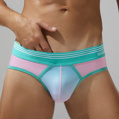 Gradient Low-Rise Briefs – 4 Colours | M–2XL | Polyester & Elastane