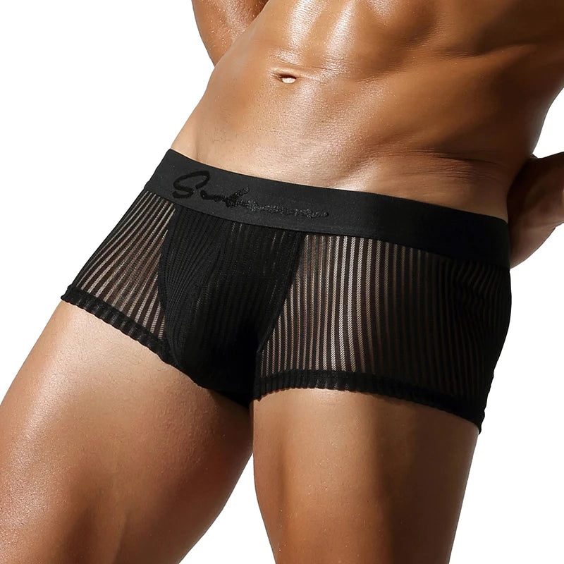 Striped Mesh Boxer Brief – 6 Colours | M–2XL | 95% Polyester & Spandex