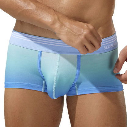 Gradient Boxer Briefs – 4 Colours | M–2XL | Polyester & Elastane