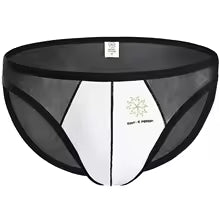 Sheer Brief – 4 Colours | S–XL