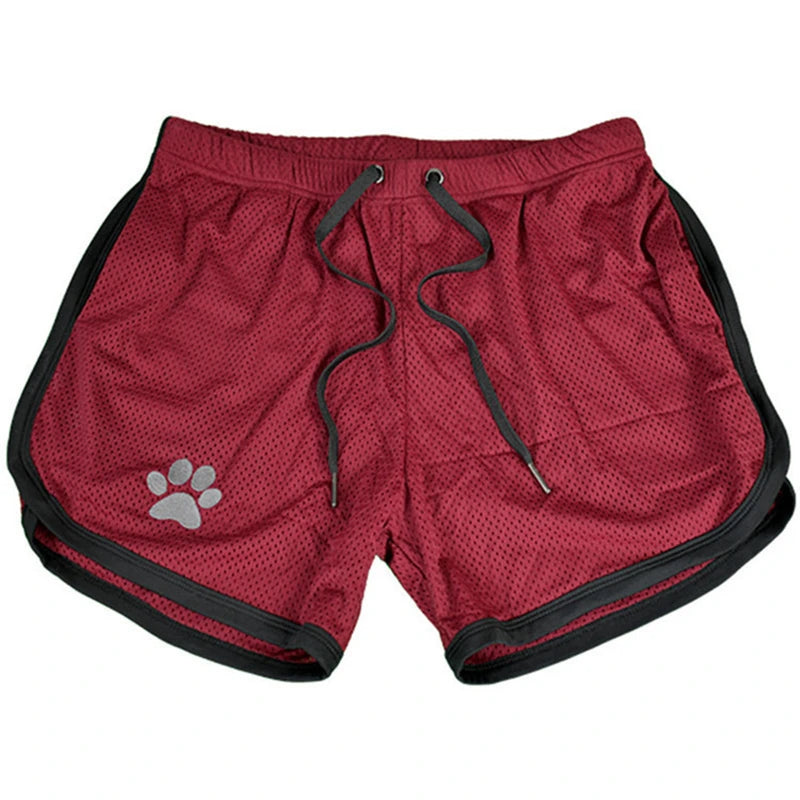Breathable Mesh Shorts with Paw Print – 17 Colours | Sizes by Weight | M–XXL