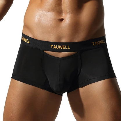 Mesh Boxer Shorts – 4 Colours | M–2XL | Nylon & Elastane