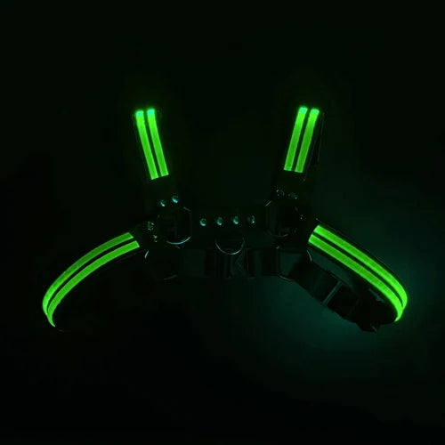 LED Light-Up Body Harness – 6 Colours | One Size | Nylon