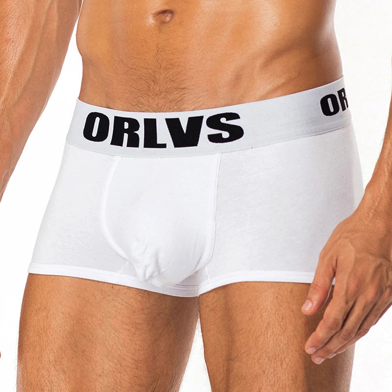 Cotton Boxer Briefs – 6 Colours | M–2XL | Cotton & Lycra