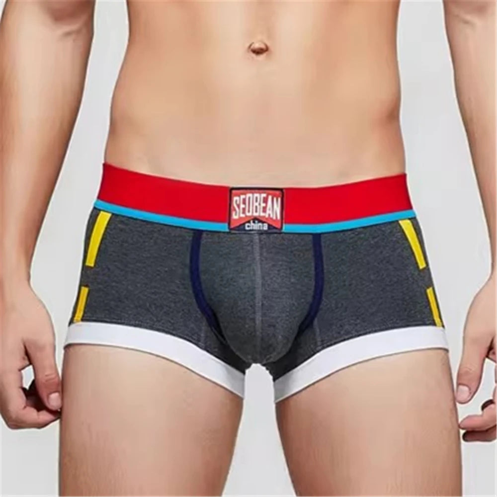Low-Rise Cotton Boxer Briefs – 8 Colours | M–2XL | Cotton & Elastane