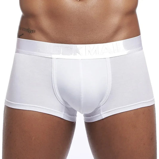 Low-Rise Hip Brief – 4 Colours | M–2XL | Modal & Lycra