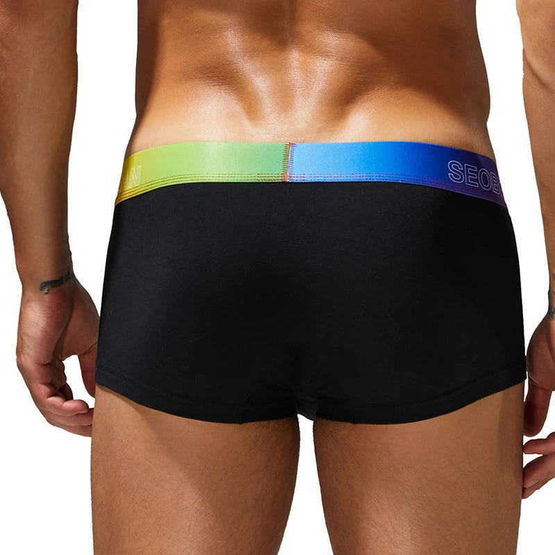 Seobean Rainbow Waistband Boxer Briefs – 4 Colours | M–2XL | Cotton & Elastane