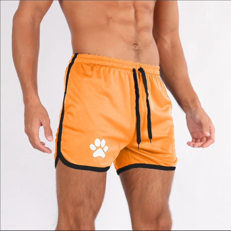 Breathable Mesh Shorts with Paw Print – 17 Colours | Sizes by Weight | M–XXL