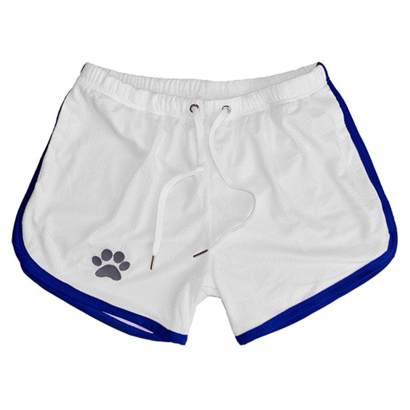 Breathable Mesh Shorts with Paw Print – 17 Colours | Sizes by Weight | M–XXL