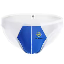 Sheer Brief – 4 Colours | S–XL