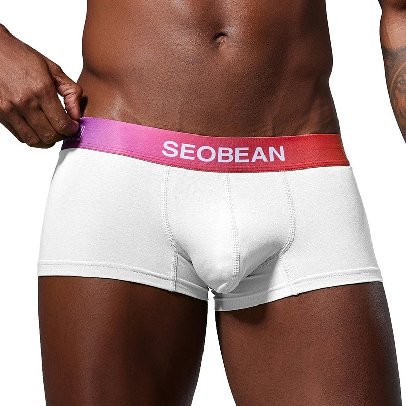 Cotton Boxer Briefs – 4 Colours | M–2XL | Gradient Waistband