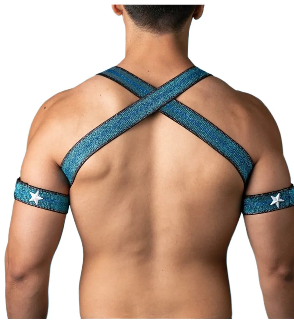 Pineapple-Wear Stretch Chest Harness | 2 Styles | 3 Sizes