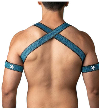 Pineapple-Wear Stretch Chest Harness | 2 Styles | 3 Sizes